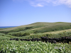 s_PICT0188_thumb.png